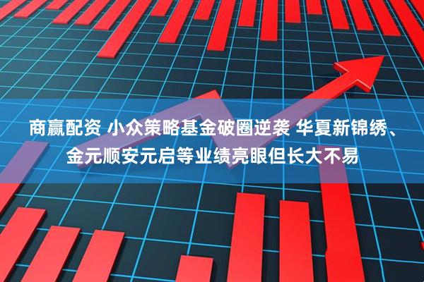商赢配资 小众策略基金破圈逆袭 华夏新锦绣、金元顺安元启等业绩亮眼但长大不易