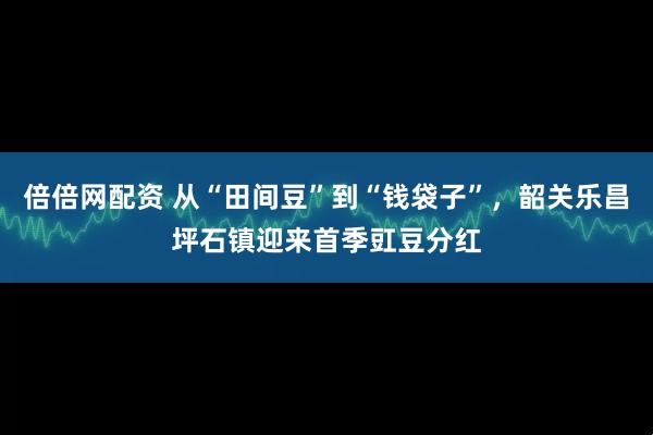 倍倍网配资 从“田间豆”到“钱袋子”，韶关乐昌坪石镇迎来首季豇豆分红